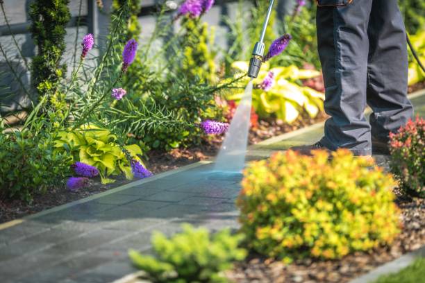 Professional Pressure Washing Services in Spinnerstown, PA